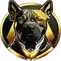 ic_home_betdog