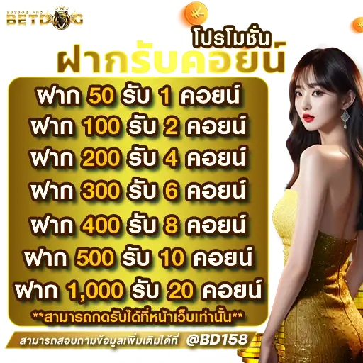 BETDOG คาสิออนไลน์สด