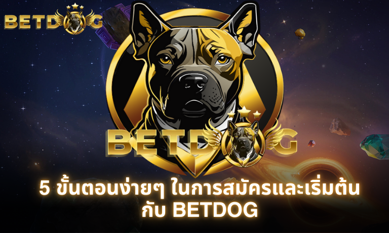 5 ขั้นตอนง่ายๆ ในการสมัครและเริ่มต้นกับ BETDOG