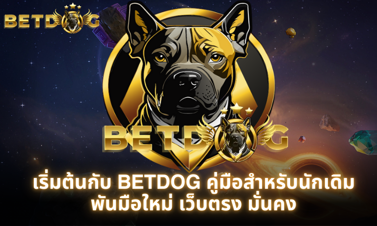 เริ่มต้นกับ BETDOG คู่มือสำหรับนักเดิมพันมือใหม่ เว็บตรง มั่นคง