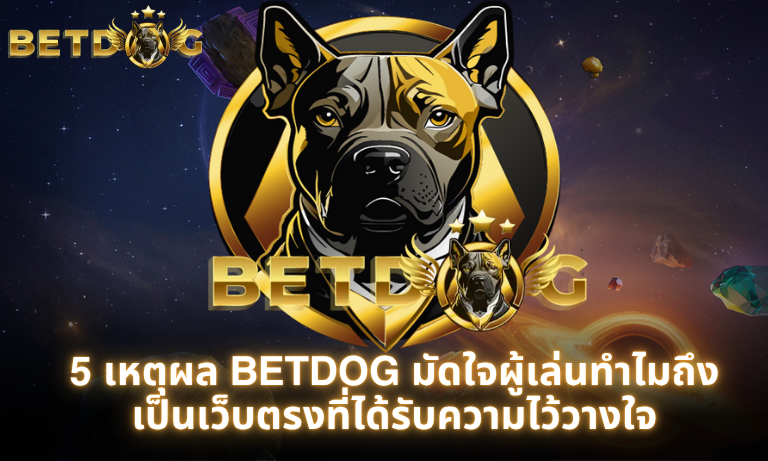 5 เหตุผล BETDOG มัดใจผู้เล่น ทำไมถึงเป็นเว็บตรงที่ได้รับความไว้วางใจ