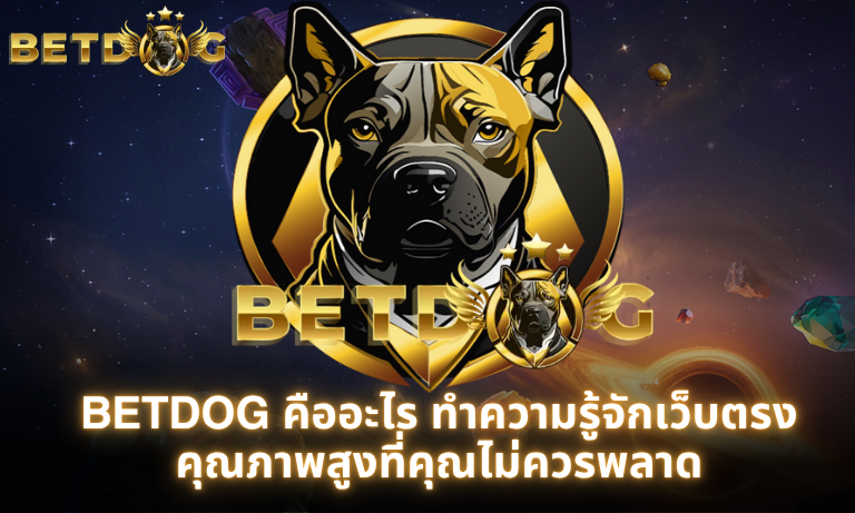 BETDOG คืออะไร ทำความรู้จักเว็บตรงคุณภาพสูงที่คุณไม่ควรพลาด