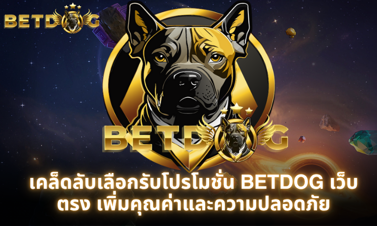 เคล็ดลับเลือกรับโปรโมชั่น BETDOG เว็บตรง เพิ่มคุณค่าและความปลอดภัย