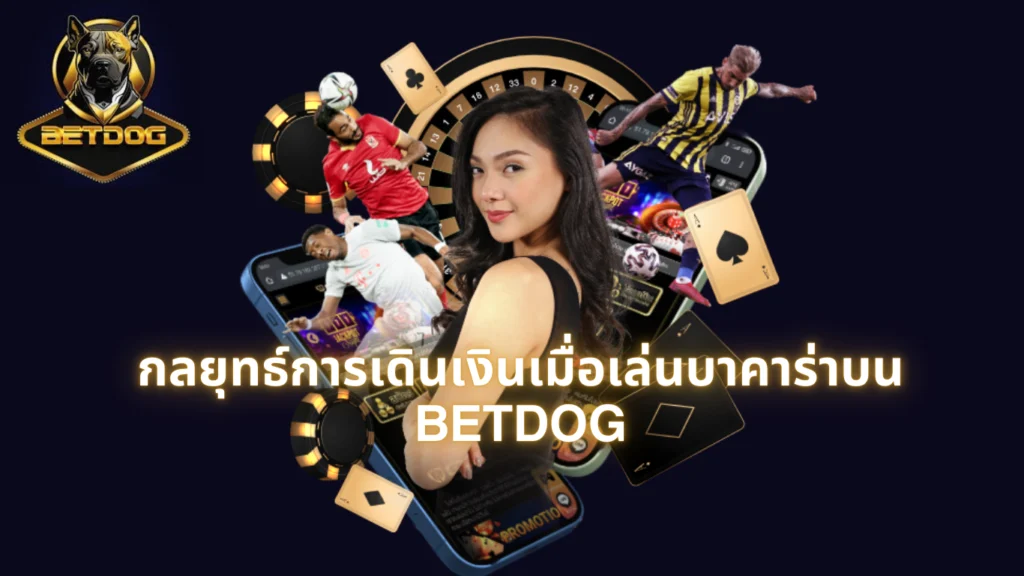 กลยุทธ์การเดินเงินเมื่อเล่นบาคาร่าบน BETDOG