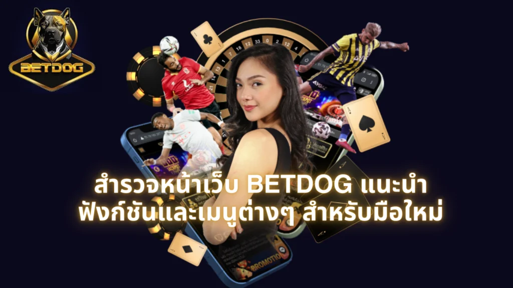 เจาะลึกหน้าเว็บ BETDOG คู่มือมือใหม่ แนะนำฟังก์ชันและทางเข้าล่าสุด