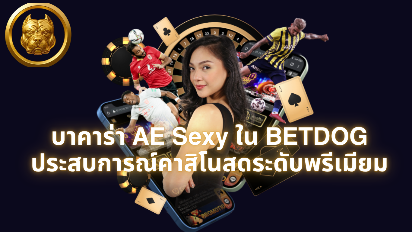 ae-sexy-baccarat-betdog-review-premium